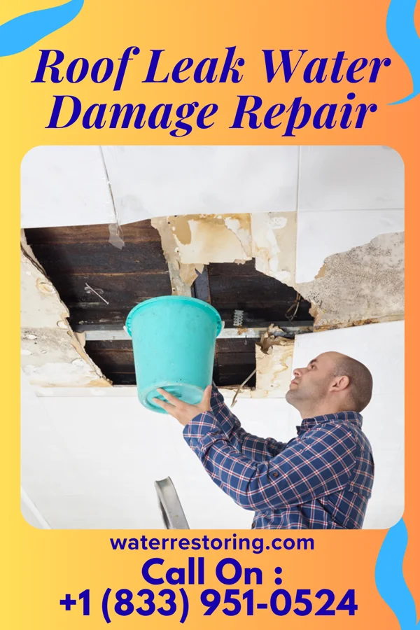 Roof Leak Water Damage Repair in Harwood, MO