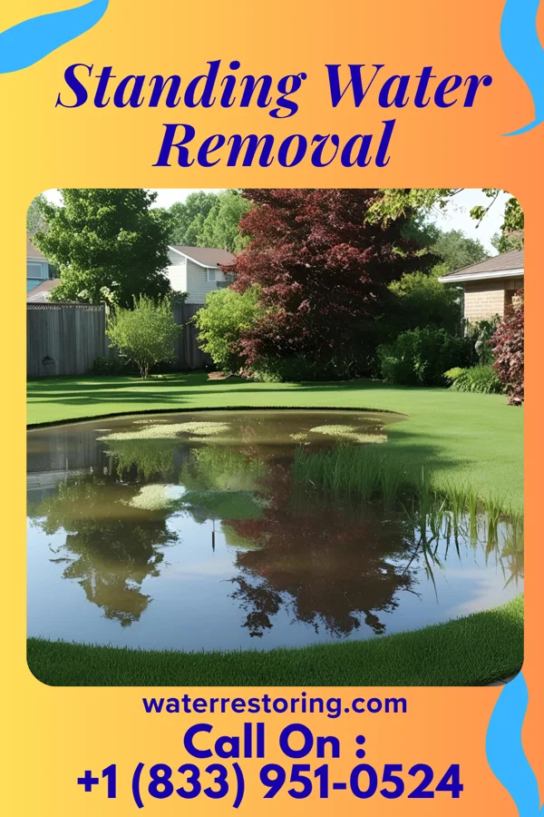 Standing Water Removal in Harwood, MO